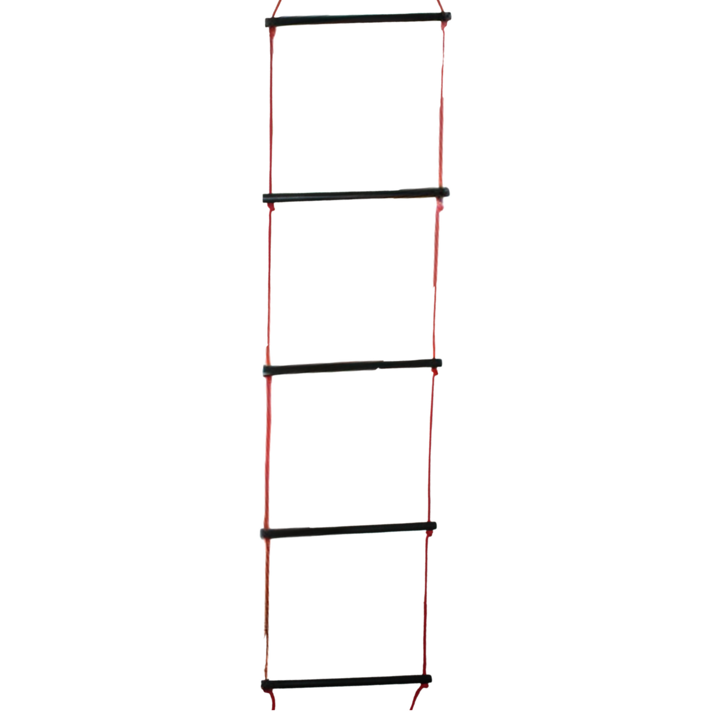 LADDER